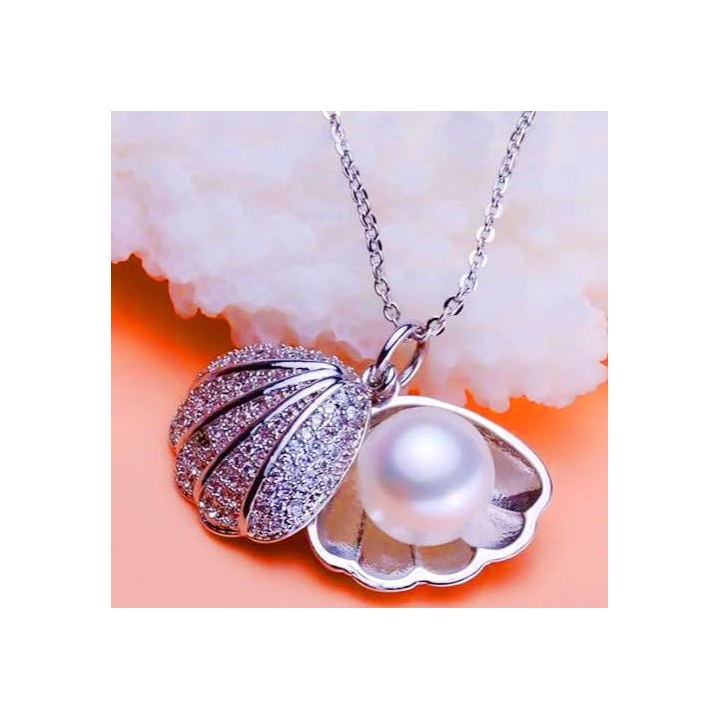 Open Shell - Dainty Design